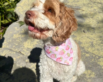 strawberry pet bandana