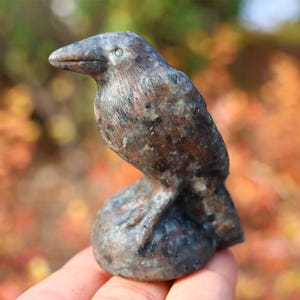 2.6&quot; Natural yooperlite crow,Quartz Crystal Carved ,Crystal Heal Reiki,Home decoration,Crystal Sculpture,Mineral,Crystal Gifts