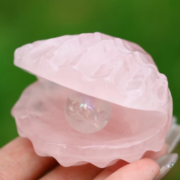 2" Natural rose quartz shell, Quartz Crystal Carved ,Crystal Heal Reiki,Home decoration,Crystal Sculpture,Mineral,Crystal Gifts