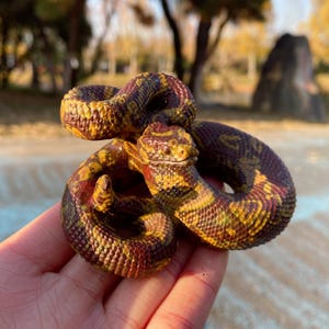 May include: A detailed, hand-painted snake figurine in shades of yellow, brown, and red. The coiled serpent has a textured, scaly appearance and is held in a hand. The figurine is a decorative item, possibly for a collector or as a unique home accent.