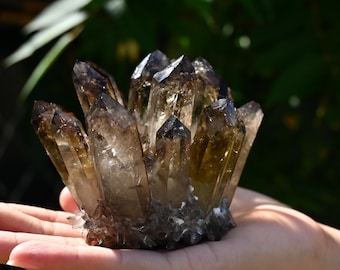 2.3インチ天然ヒョウ柄石エイリアンスカル、クォーツクリスタル彫刻