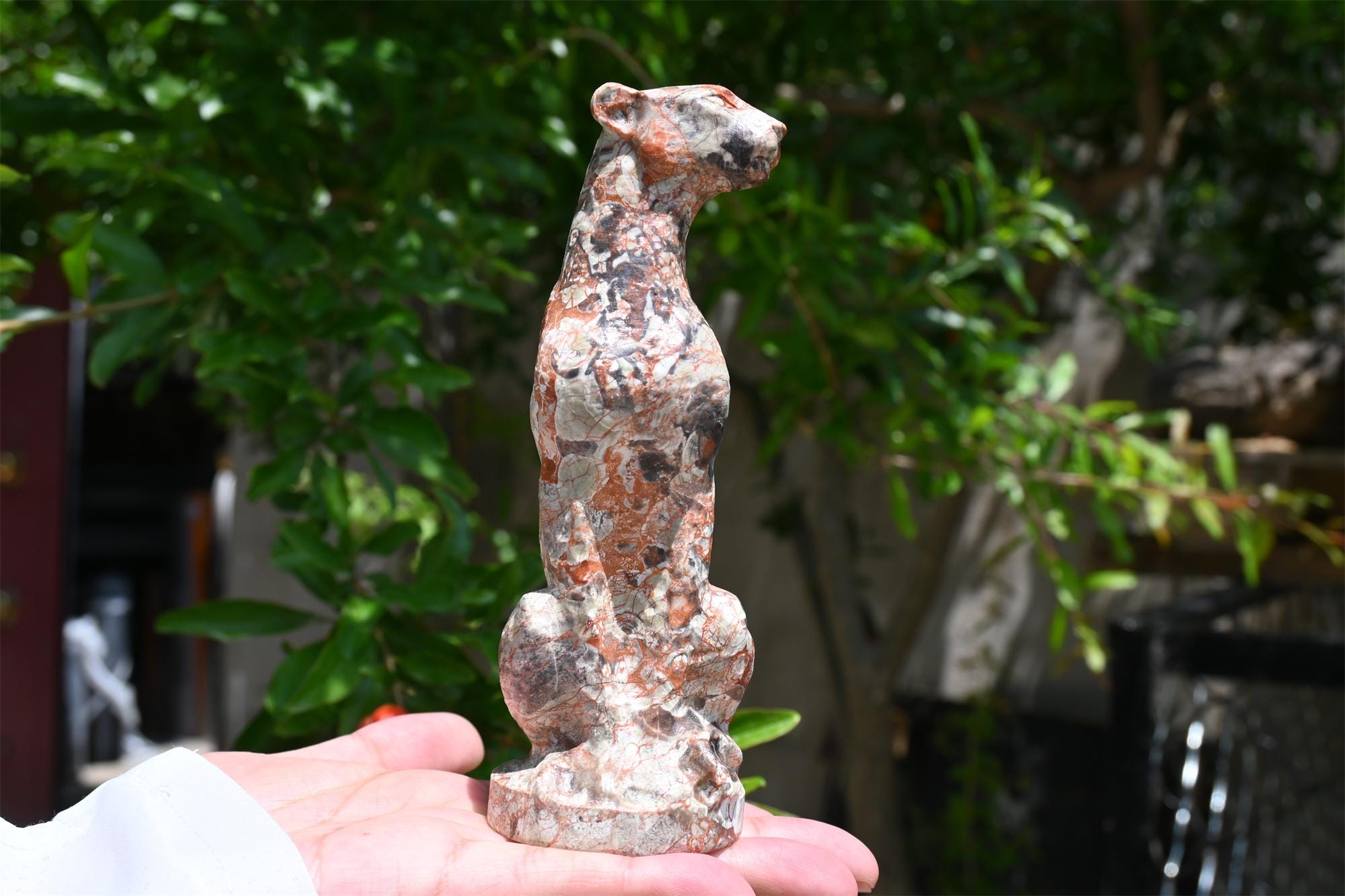 5.6インチ 天然無名石ヒョウ、クォーツクリスタル彫刻、クリスタル