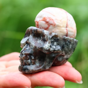 May include: A carved stone skull with a brain-shaped stone on top. The skull is dark gray with lighter gray and white flecks. The brain is off-white with red veining. The background is a blurred green.