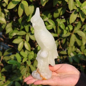 8&quot; Natural Afghan jade parrot,Quartz Crystal Carved,Crystal Heal Reiki,Home decoration,Crystal Sculpture,Mineral,Crystal Gifts