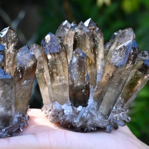 May include: Close-up of smoky quartz crystal clusters. The crystals are a translucent brown color with sharp, pointed tips. The clusters are held in a hand, with a blurred green background.