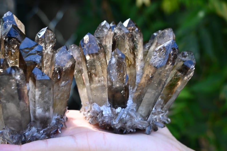 May include: Close-up of smoky quartz crystal clusters. The crystals are a translucent brown color with sharp, pointed tips. The clusters are held in a hand, with a blurred green background.