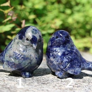 2.4&quot; Natural Sodalite bird,Quartz Crystal Carved ,Crystal Heal Reiki,Home decoration,Crystal Sculpture,Mineral,Crystal Gifts
