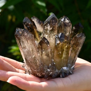 May include: A cluster of smoky quartz crystals, held in a hand. The crystals are a mix of brown and clear, with sharp points. The background is blurred green foliage.