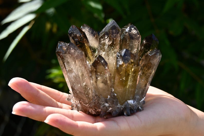 May include: A cluster of smoky quartz crystals, held in a hand. The crystals are a mix of brown and clear, with sharp points. The background is blurred green foliage.