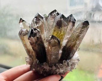 May include: A cluster of smoky quartz crystals. The crystals are a mix of brown, black, and clear, with sharp, pointed terminations. The base of the cluster is a lighter, almost white color. The crystals are arranged in a radial pattern.