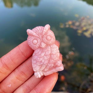 Könnte beinhalten: Rosa Eulenfigur aus Stein. Die Eule hat detaillierte Federstrukturen und große, runde Augen. Die Figur wird in einer Hand gehalten, mit einem verschwommenen Wasserhintergrund.