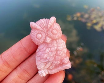May include: A pink owl figurine carved from stone. The owl has detailed feather patterns and large, round eyes. The figurine is held in a hand, with a blurred water background.