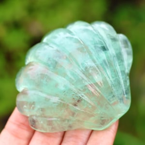 May include: A carved fluorite seashell in a translucent seafoam green hue. The gemstone is held in a hand, with a blurred green background. The shell features a detailed, ridged pattern and a polished finish.