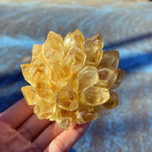 Könnte beinhalten: Ein Cluster aus goldgelben Kristallen, die an eine Blume erinnern. Die Kristalle sind durchscheinend und weisen zahlreiche Facetten auf, die das Licht reflektieren. Die Gesamtform ist abgerundet und kompakt, mit einem natürlichen, organischen Aussehen.