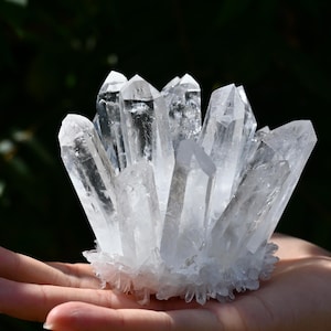 May include: A cluster of clear quartz crystals, held in a hand. The crystals are transparent with sharp points, radiating outwards from a central base. The background is a dark green, creating a contrast with the bright crystals.