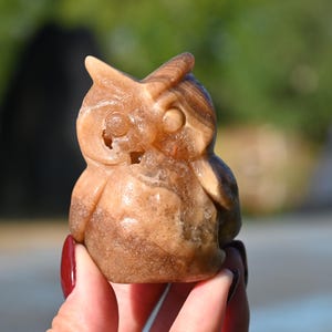 May include: A carved owl figurine in shades of brown and tan. The owl has detailed features, including large eyes and a textured surface. The figurine is held in a person's hand, with a blurred background of green and gray.