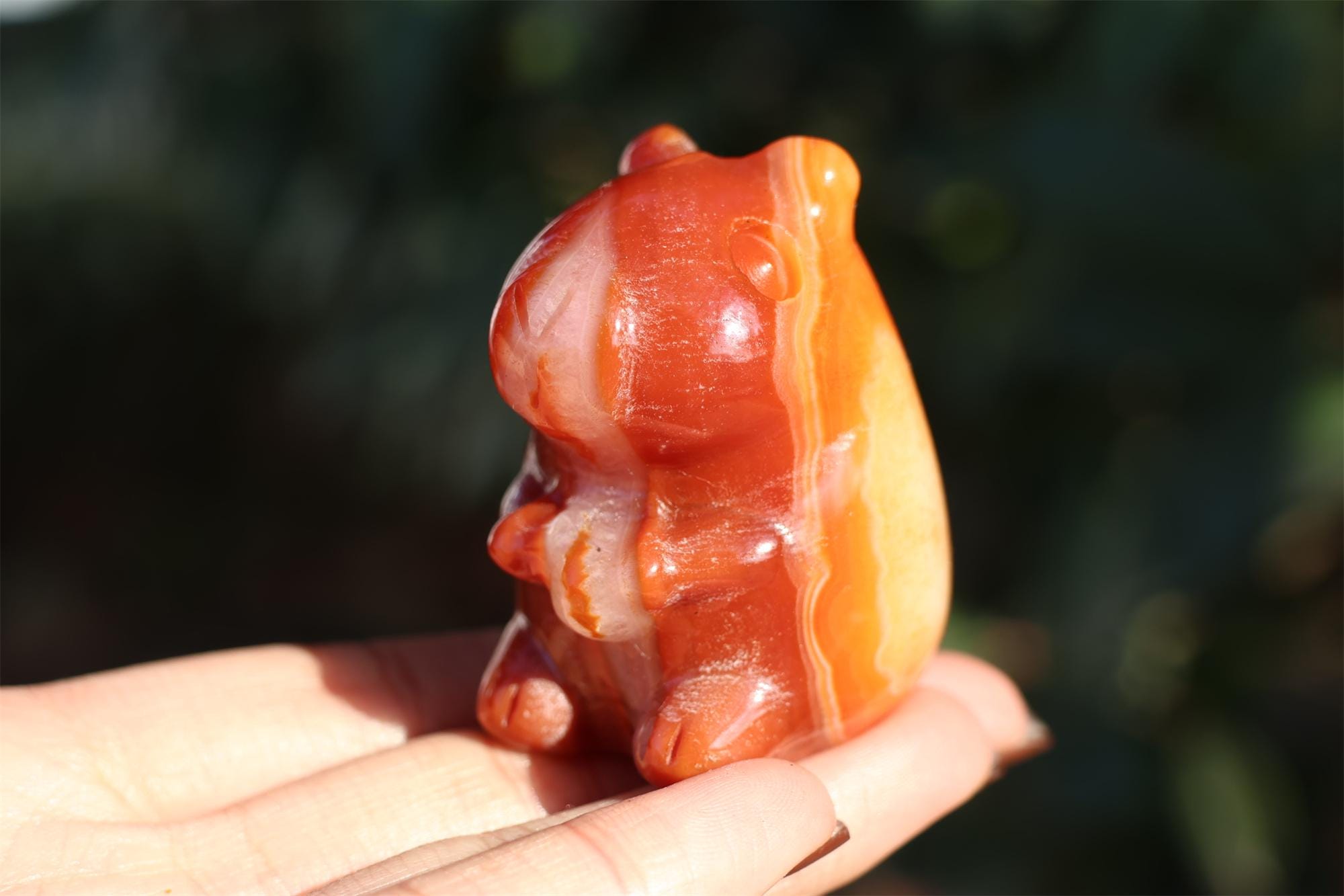 2" Natural red agate capybara,Quartz Crystal Carved ,Crystal Heal Reiki,Home decoration,Crystal Sculpture,Mineral,Crystal Gifts