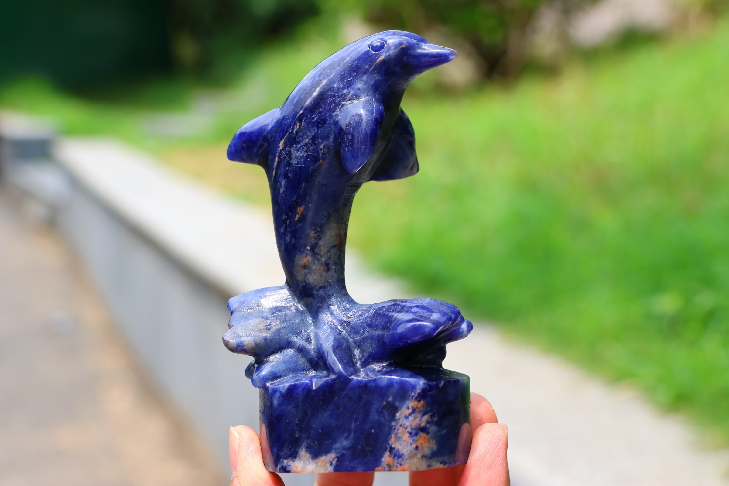 4.8" Natural Sodalite Dolphin Skull,Quartz Crystal Carved ,Crystal Heal Reiki,Home decoration,Crystal Sculpture,Mineral,Crystal Gifts