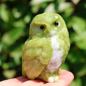 以下が含まれることがあります： 緑と白の小さなフクロウの置物。フクロウは黒い目を持ち、石のような素材で作られています。置物は、ぼやけた緑色の背景に対して、手で持たれています。