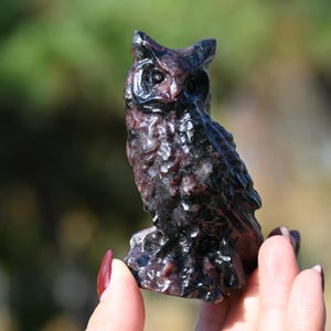 Könnte beinhalten: Eine geschnitzte Eulenfigur in dunklen Rot- und Schwarztönen. Die Eule sitzt aufrecht, mit detaillierten Feder- und Augenmerkmalen. Die Figur wird in einer Hand vor einem verschwommenen grünen Hintergrund gehalten.