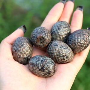Op de afbeelding: Zes kleine, getextureerde stenen met een metallic uiterlijk worden in een hand gehouden. De stenen hebben een donkere, gespikkelde uitstraling en een onregelmatige, afgeronde vorm. De achtergrond is een wazig groen.