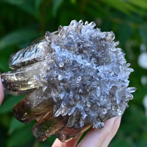 May include: A cluster of smoky quartz crystals, held in a hand, with a natural, raw appearance. The crystals are a mix of translucent and opaque, with a smoky brown and clear color. The overall shape is irregular and textured, with many small points.