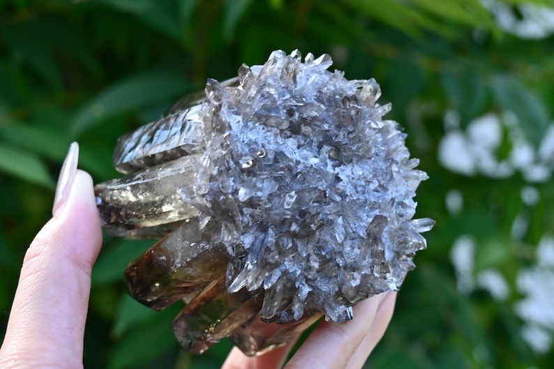 May include: A cluster of smoky quartz crystals, held in a hand, with a natural, raw appearance. The crystals are a mix of translucent and opaque, with a smoky brown and clear color. The overall shape is irregular and textured, with many small points.