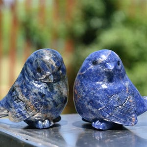 2.4&quot; Natural Sodalite bird,Quartz Crystal Carved ,Crystal Heal Reiki,Home decoration,Crystal Sculpture,Mineral,Crystal Gifts