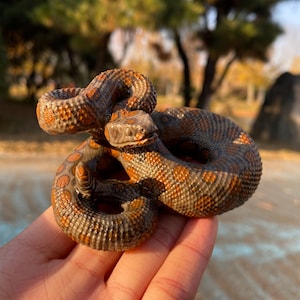 Peut inclure: Figurine de serpent enroulé, aux motifs détaillés et aux tons marron, orange et gris. La tête et les écailles du serpent sont finement travaillées. La figurine est tenue dans une main, mettant en valeur son design. Objet décoratif.