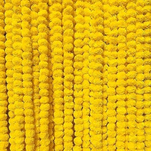 May include: A vibrant, close-up view of a wall of bright yellow marigold flowers. The flowers are densely packed, creating a textured, eye-catching display. The image showcases the natural beauty and color of the marigolds.