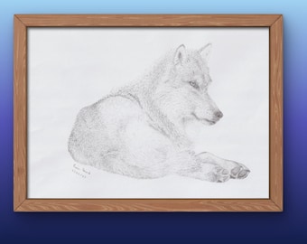 Wolf, ink sketch, original drawing