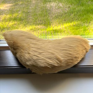 Caramel wolf fursuit tail with hidden belt loop