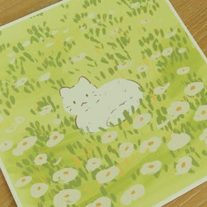 Weiße Katze Blumenfeld Quadrat Kunstdruck 20x20cm