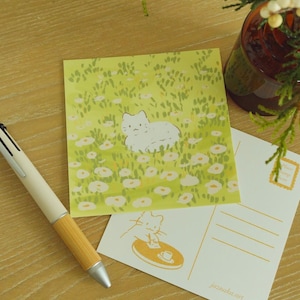 Petite carte postale carrée de champ de fleurs de chat blanc Impression artistique