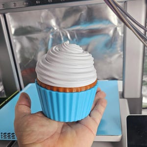 Celebration birthday Cupcake containers