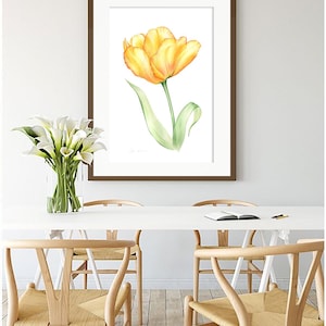 Gelbe Tulpe Botanische Illustration, Handgemalte Aquarellblumen, Realistisches Blumenplakat, Handgemalter Kunstdruck von Olga Kölsch