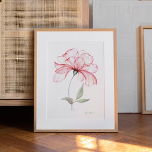 Impresión artística de rosa polvorienta de acuarela, arte mural botánico moderno, póster de flores de rayos X, impresión floral pintada a mano de Olga Koelsch