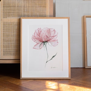 Aquarelle rose rose, art mural botanique, fleur transparente, art radiographique, impression florale peinte à la main par Olga Koelsch 012