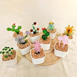 Puede incluir: Una colección de esculturas de plantas de vidrio en miniatura en macetas cuadradas blancas. Las plantas incluyen cactus, flores y otros diseños únicos, cada uno con detalles coloridos. Las macetas están llenas de pequeñas piedras, creando una exhibición decorativa.