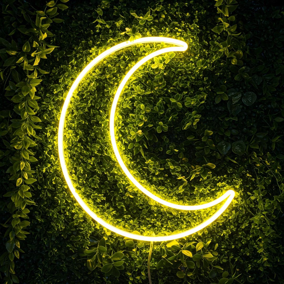 Led Neon Moon Crescent Moon Neon Sign, Neon Moon Wall Light, LED Crescent Moon Sign ...