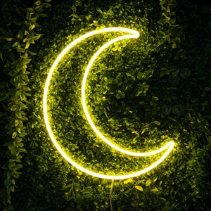 Halbmond Leuchtreklame, Neon Mond Wandleuchte, LED Halbmond Zeichen, Mond Neonlicht, Schlafzimmer Kinderzimmer Kinderzimmer Mond Dekor, Geschenk für Sie