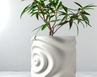 May include: A white ceramic plant pot with a spiral design, holding a small green plant. The pot sits on a matching saucer. The plant has multiple green leaves and brown stems. The pot is approximately 6 inches tall.