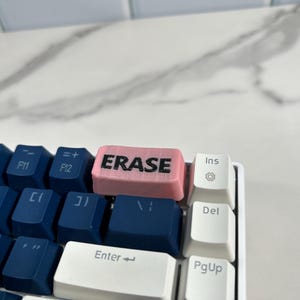 May include: A pink keyboard keycap with the word "ERASE" printed in black letters. The keycap is on a blue and white keyboard.