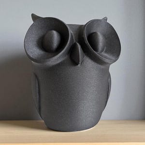 May include: A matte black owl figurine with large, round eyes and a pointed beak. The owl is perched on a light-colored wooden shelf against a gray wall. The owl's textured surface gives it a unique appearance.
