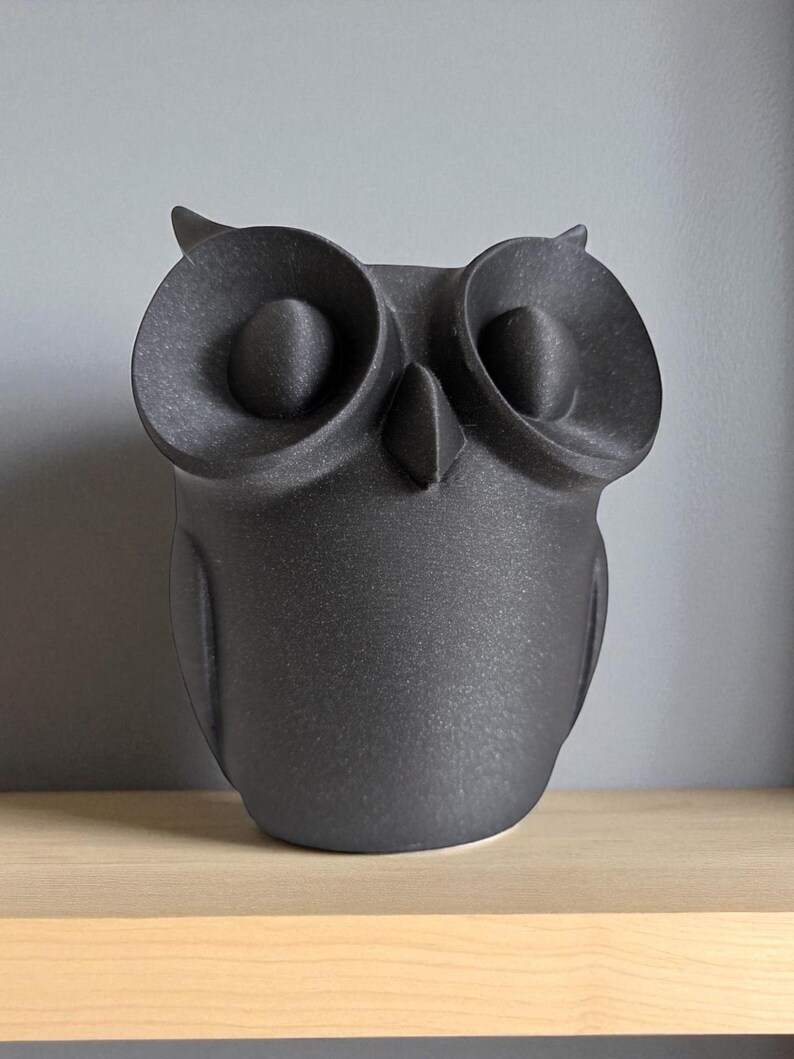 May include: A matte black owl figurine with large, round eyes and a pointed beak. The owl is perched on a light-colored wooden shelf against a gray wall. The owl's textured surface gives it a unique appearance.