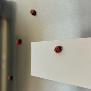 May include: A white card with a red ladybug magnet attached to it. The card is on a stainless steel refrigerator with other ladybug magnets.