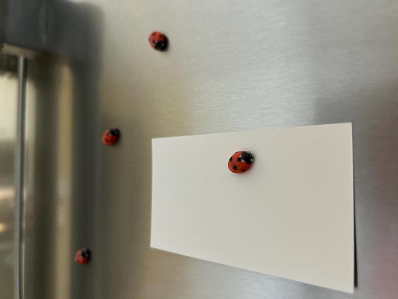 May include: A white card with a red ladybug magnet attached to it. The card is on a stainless steel refrigerator with other ladybug magnets.