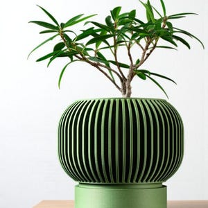May include: A green, modern planter with a ribbed design, holding a small plant with green leaves. The planter sits on a matching green base, creating a cohesive look. The plant's branches extend upwards, adding a natural element to the design.