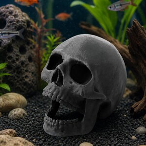 Peut inclure: Une d&eacute;coration d'aquarium en forme de cr&acirc;ne gris fonc&eacute;, avec une bouche ouverte, plac&eacute;e dans un environnement de plantes aquatiques, de gravier et de petits poissons. Le cr&acirc;ne est un mod&egrave;le d&eacute;taill&eacute; et r&eacute;aliste.