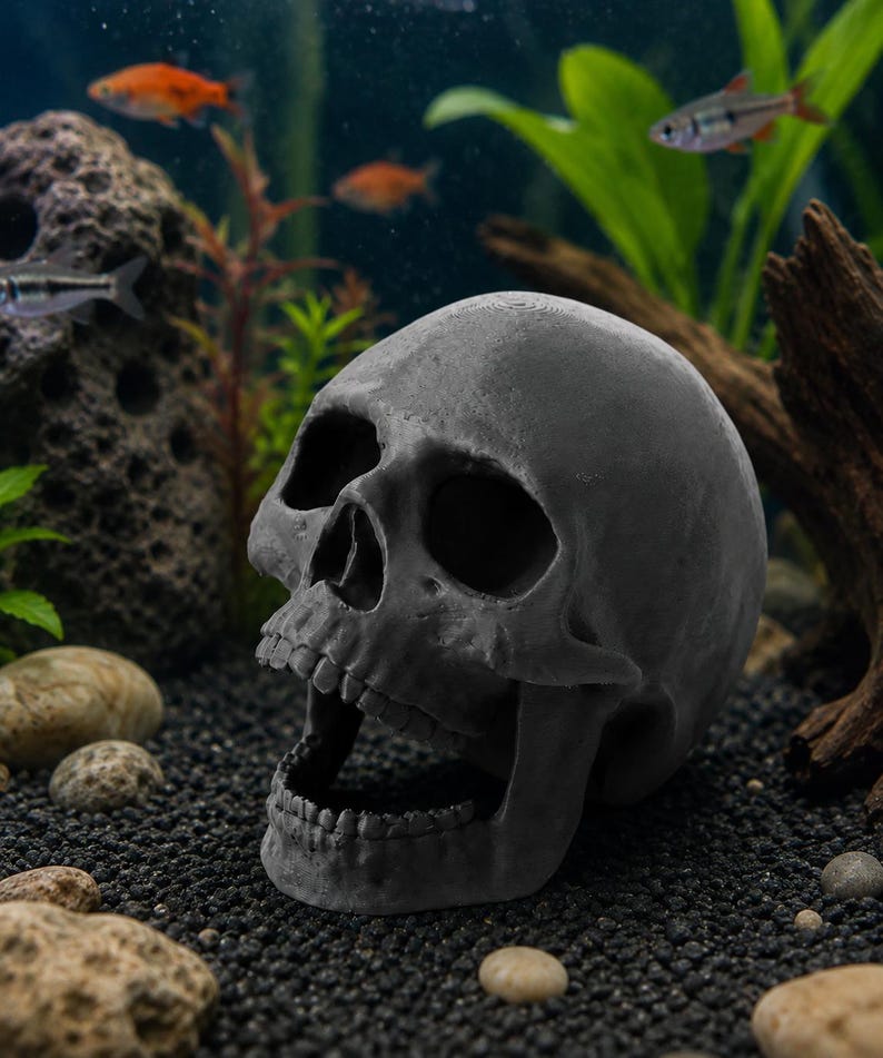 Peut inclure: Une d&eacute;coration d'aquarium en forme de cr&acirc;ne gris fonc&eacute;, avec une bouche ouverte, plac&eacute;e dans un environnement de plantes aquatiques, de gravier et de petits poissons. Le cr&acirc;ne est un mod&egrave;le d&eacute;taill&eacute; et r&eacute;aliste.